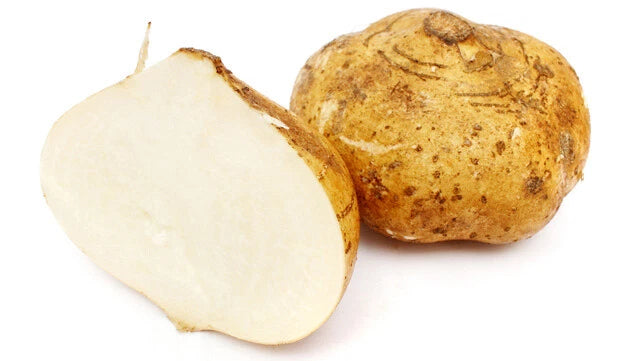 Jicama Seeds - 5 Heirloom Pachyrhizus Erosus - Rare Sweet & Crunchy Mexican Yam Bean