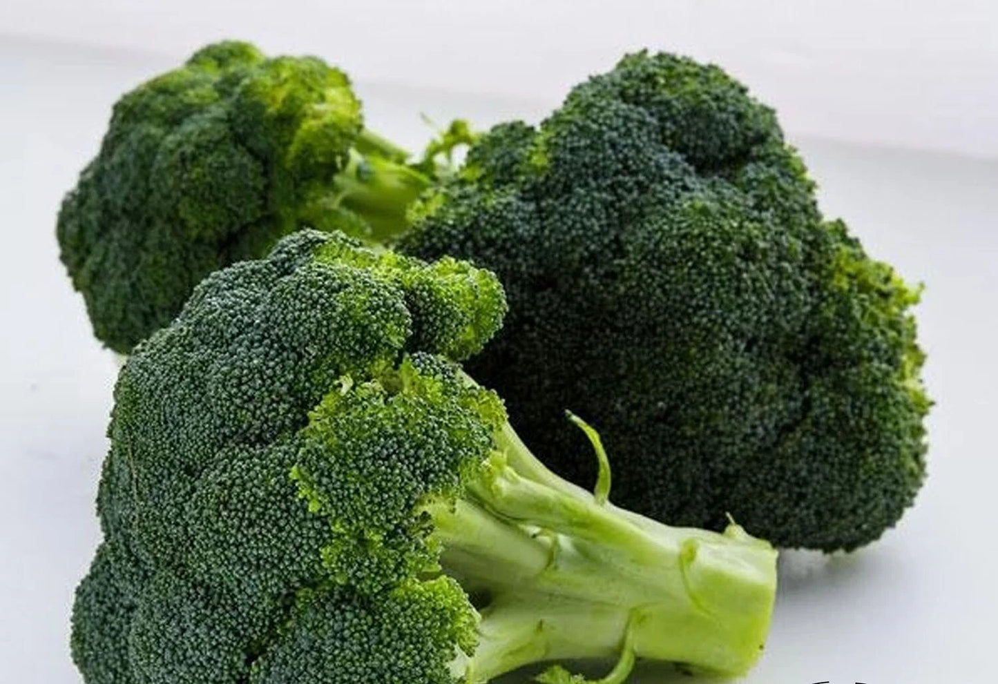 Broccoli Seeds 200+ Count Waltham Non-GMO Fresh Garden Vegetable Brassica oleracea