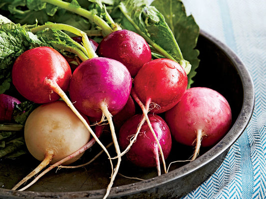 Easter Egg Radish Seeds, NON-GMO, Fast Harvest, Variety Sizes, Raphanus sativus