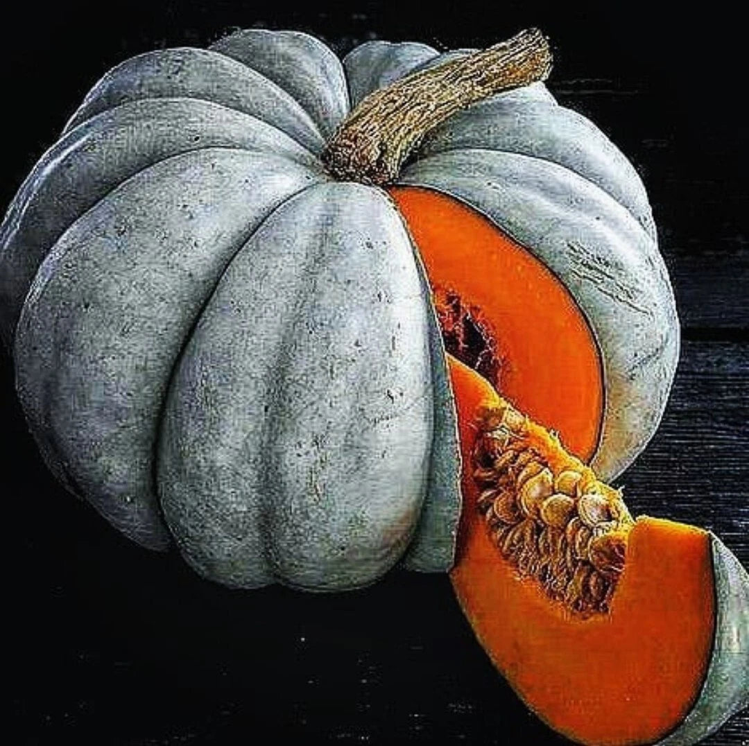Jarrahdale Blue Pumpkin Seeds - 30 Fresh Seeds - Queensland Cinderella Doll - Cucurbita maxima
