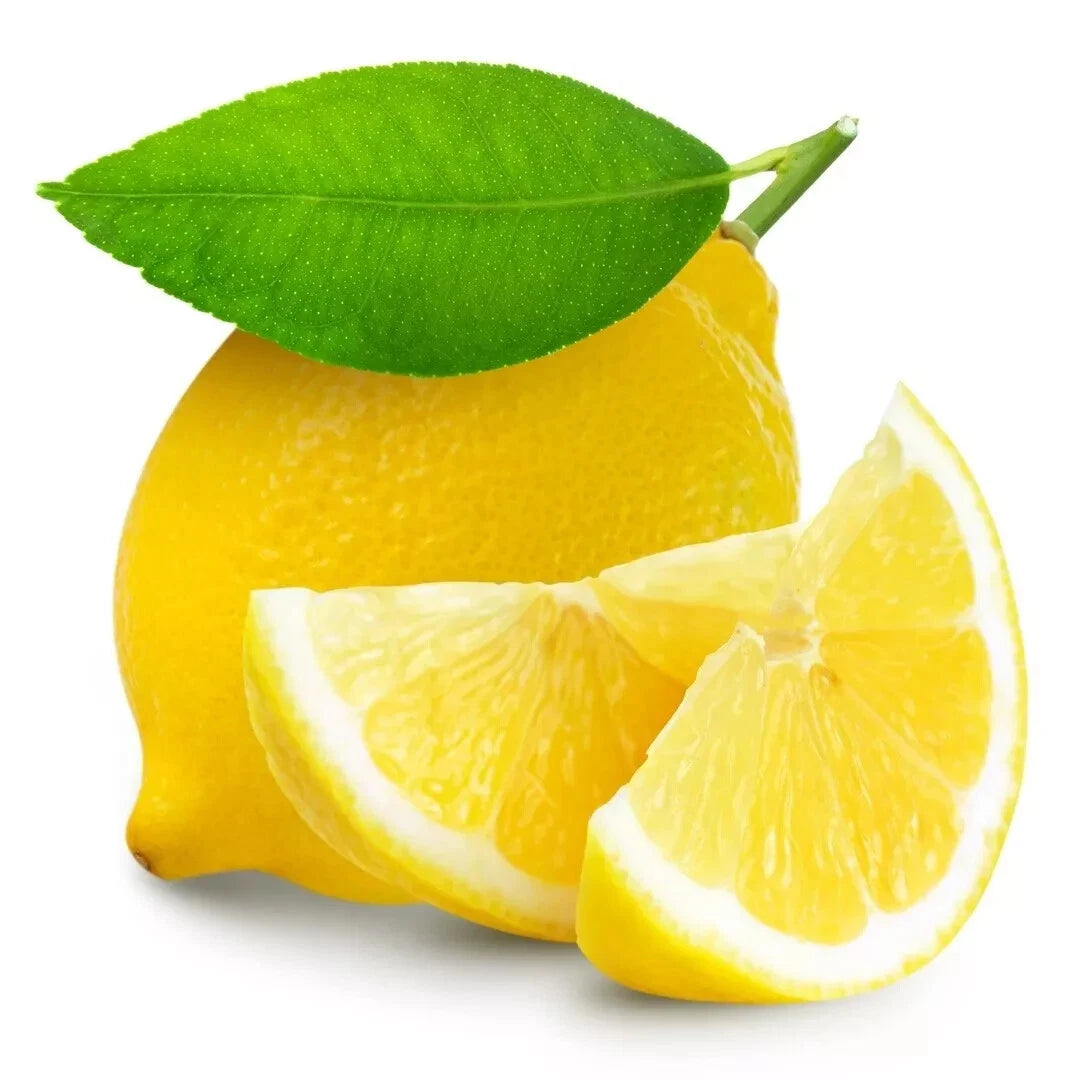 Lemon Seeds - 15 Pack - Citrus Limon - Fresh USA Grown - 2024 Harvest