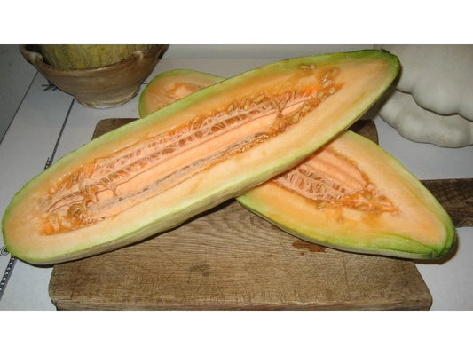 Banana Cantaloupe Seeds - Fresh Seeds for Planting - Cucumis melo