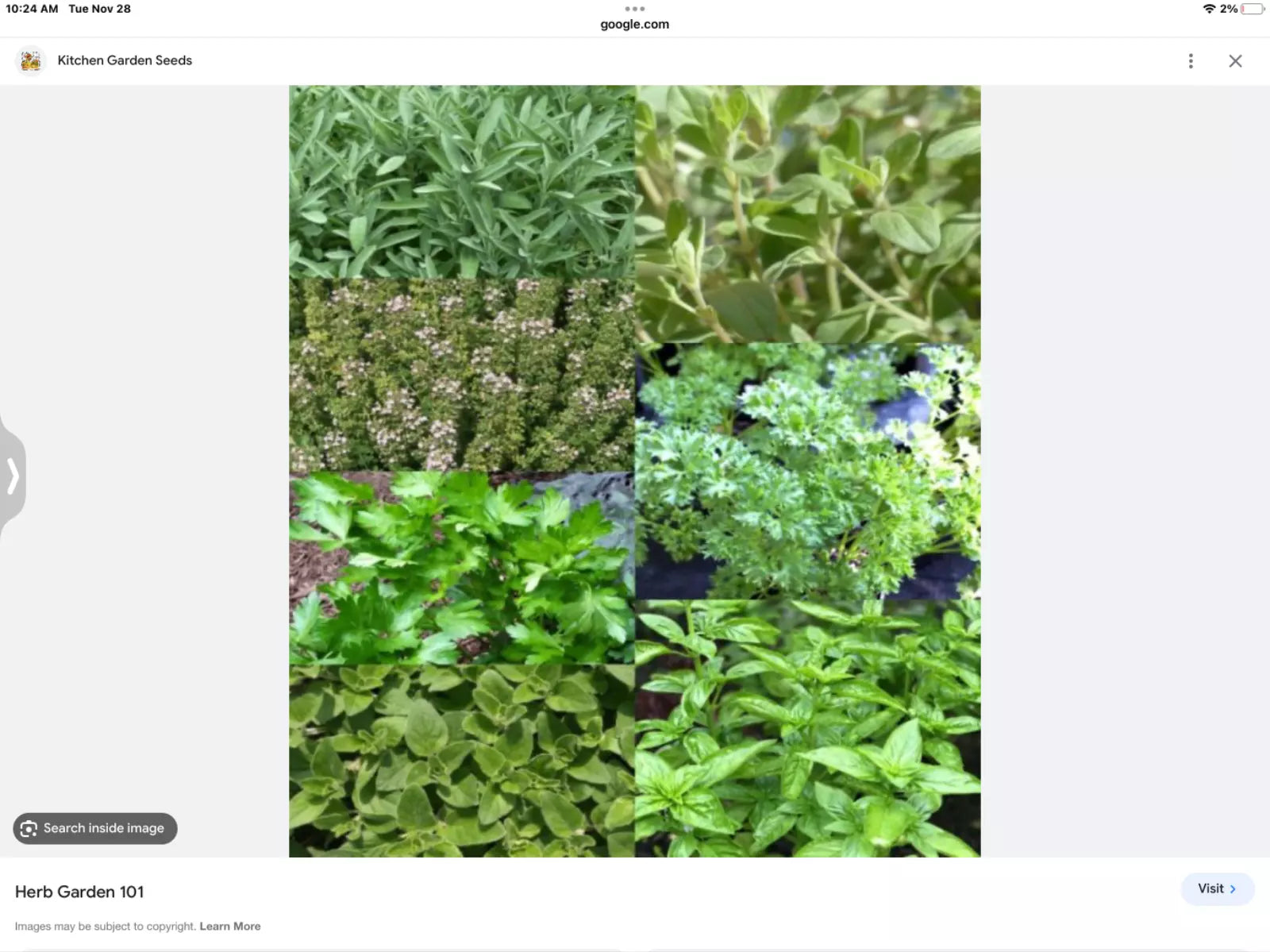Indoor Herb Seeds Set - 6 Mini Packs Basil, Thyme, Parsley, Oregano, Dill, Cilantro - Culinary Herb Seeds for Home Gardening