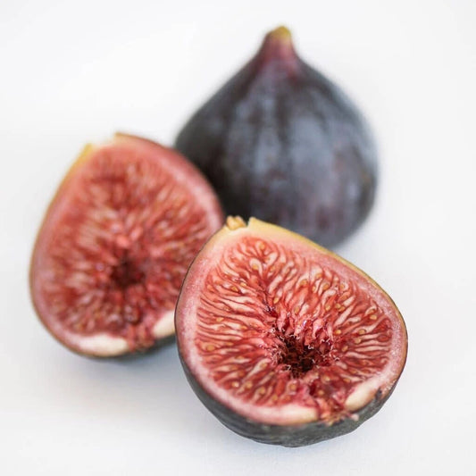 Black Mission Fig Seeds - 100+ Pack for Garden Planting - Ficus carica - USA Grown - Organic Quality
