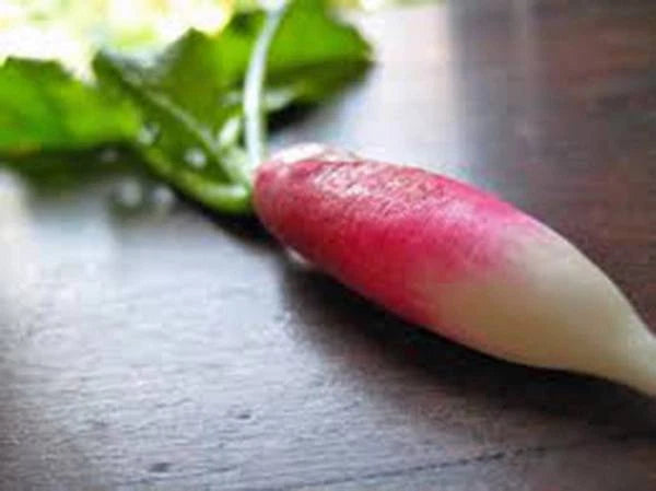 Heirloom Vegetable Seed Collection, 5 Varieties, Root Vegetables, Non-GMO Seeds for Home Garden