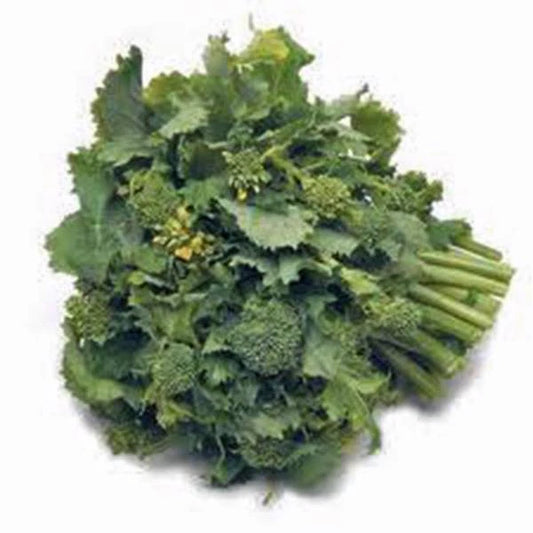 Broccoli Raab Seeds 100 Count, Heirloom Rapini, Non-GMO Vegetable Seeds