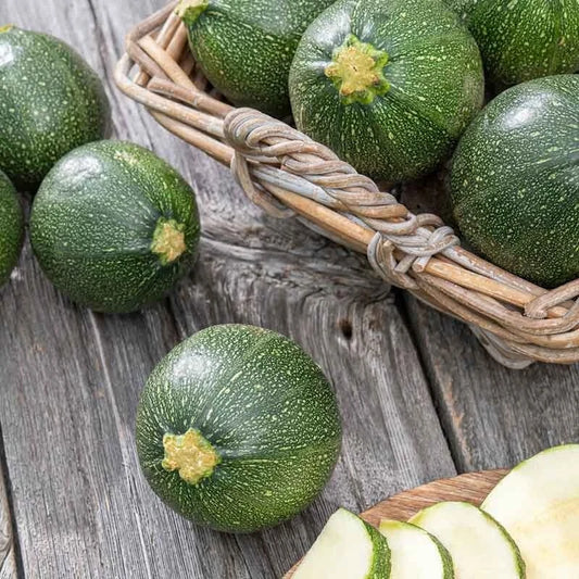 20 Fresh Round Zucchini Seeds - Premium Summer Squash - Cucurbita pepo