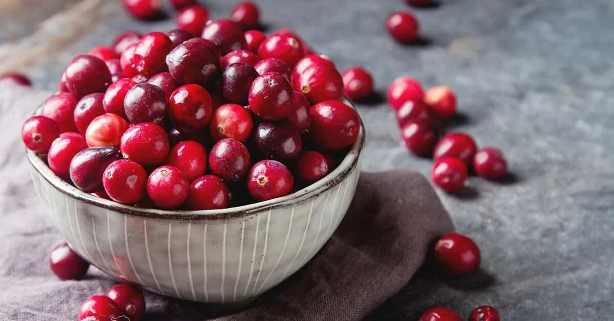 50 Cranberry Seeds - Organic Non-GMO Edible Fruit - Vaccinium macrocarpon - Homegrown US Native Medici Variety