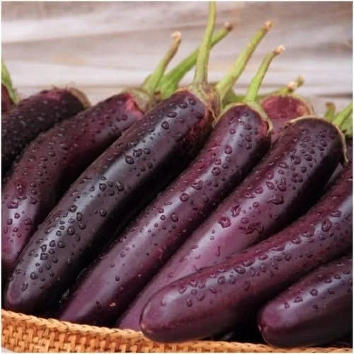 Long Purple Eggplant Seeds - 30 Authentic Premium Seeds - Japanese Variety (Solanum melongena)