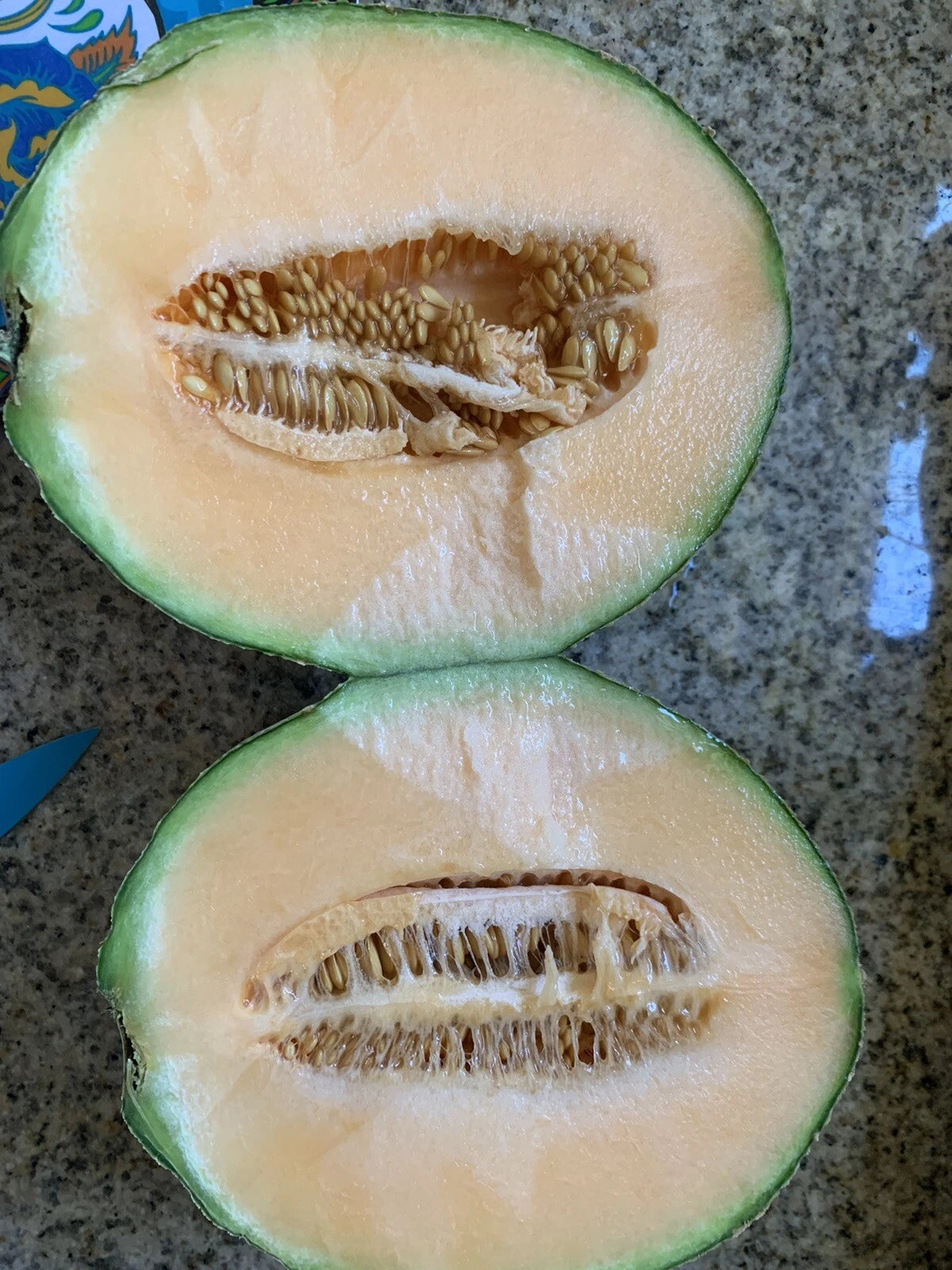 Cantaloupe Melon Seeds - 25 Pack, Sweet Delicious Variety, Homegrown USA, Easy to Grow