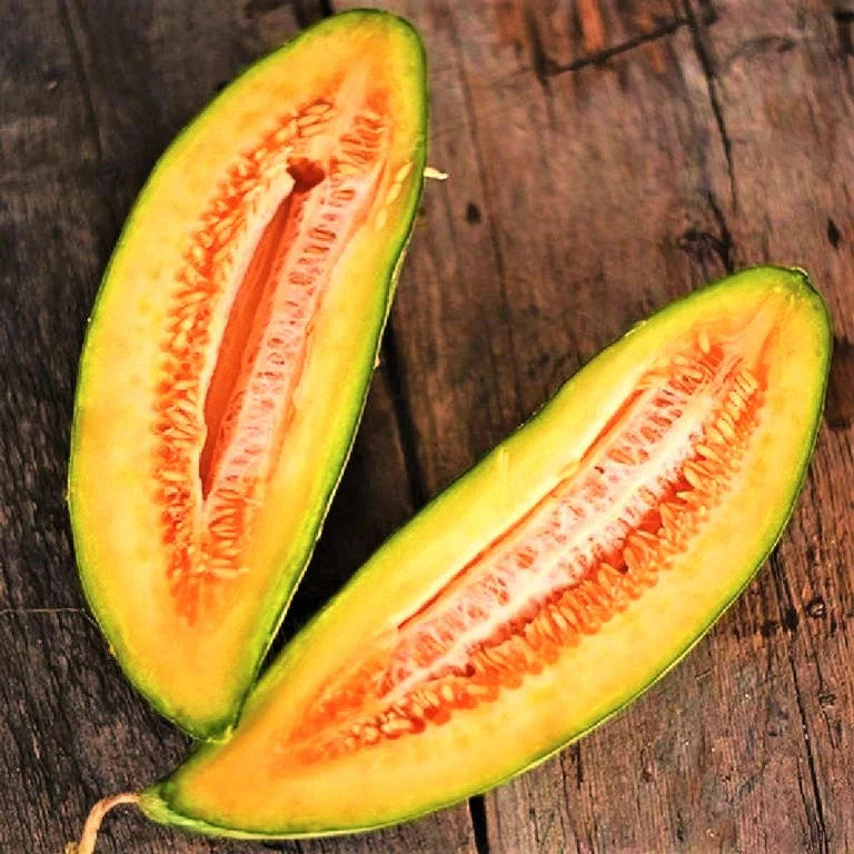 Cantaloupe Seeds - Heirloom Orange Flesh - Banana Variety - Cucumis Melo - Planting for 2025