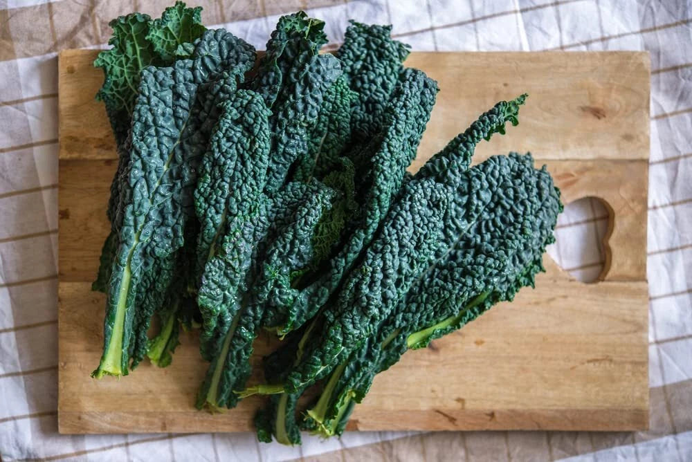 Black Magic Kale Seeds (200 Seeds) - Dark Green, Heirloom Variety, Brassica oleracea var. sabellica