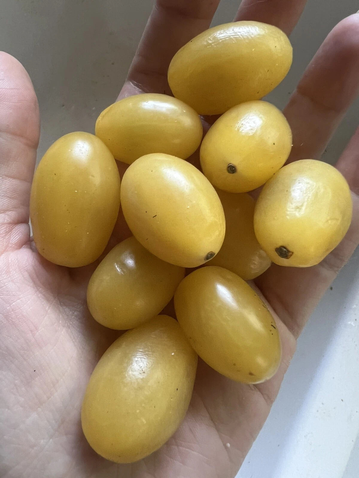 50 Organic Yellow Grape Tomato Seeds - Edible Garden Vegetable - Solanum lycopersicum