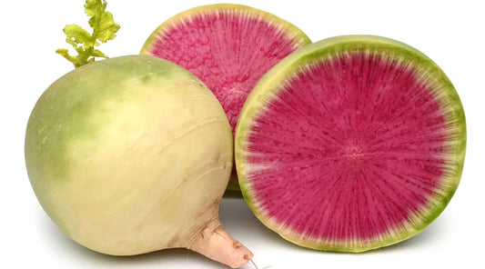 Misato Rose Radish Seeds - 500+ Pack for Garden Planting - Raphanus sativus - USA Grown