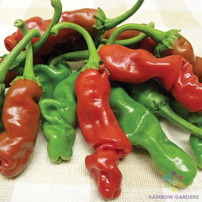 25+ Peter Pepper Hot Pepper Seeds | Organic Heirloom Variety for Garden Planting | Capsicum annuum