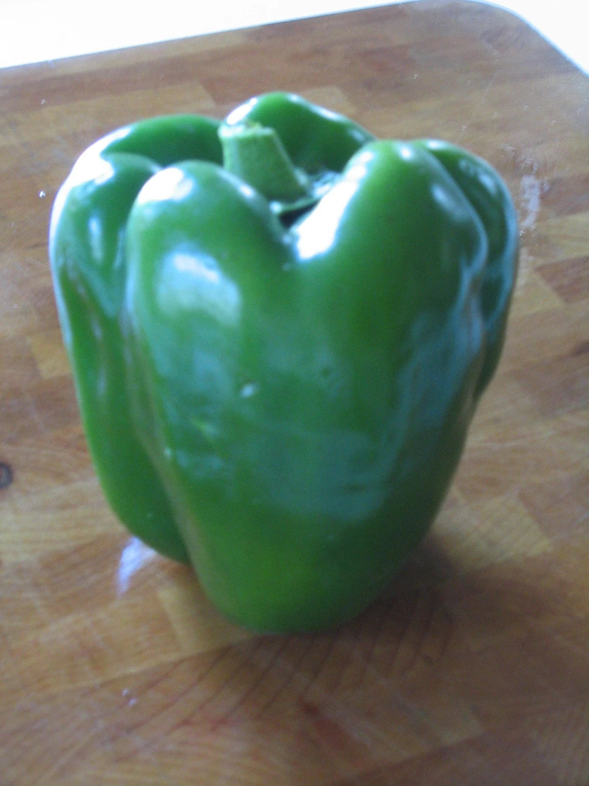 YOLO WONDER SWEET PEPPER SEEDS - 20 Glossy Seeds, Chef's Favorite Variety, Capsicum annuum