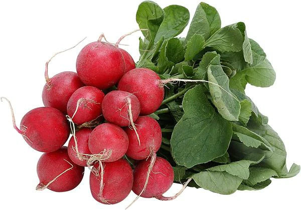 385 Seeds - Early Scarlet Globe Radish - Raphanus sativus - USA GroCo - Buy Any 15, Ships Free