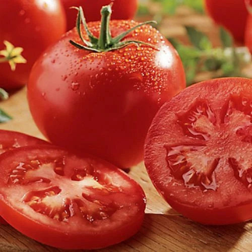 Celebrity Tomato Seeds | F1 Hybrid | Non-GMO | Bulk Pack | Lycopersicon esculentum