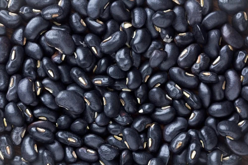 Black Bean Seeds for Planting - 30 Seeds - Easy to Grow, Phaseolus vulgaris, High Nutritional Value