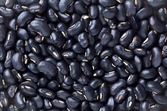 Black Bean Seeds for Planting - 30 Seeds - Easy to Grow, Phaseolus vulgaris, High Nutritional Value