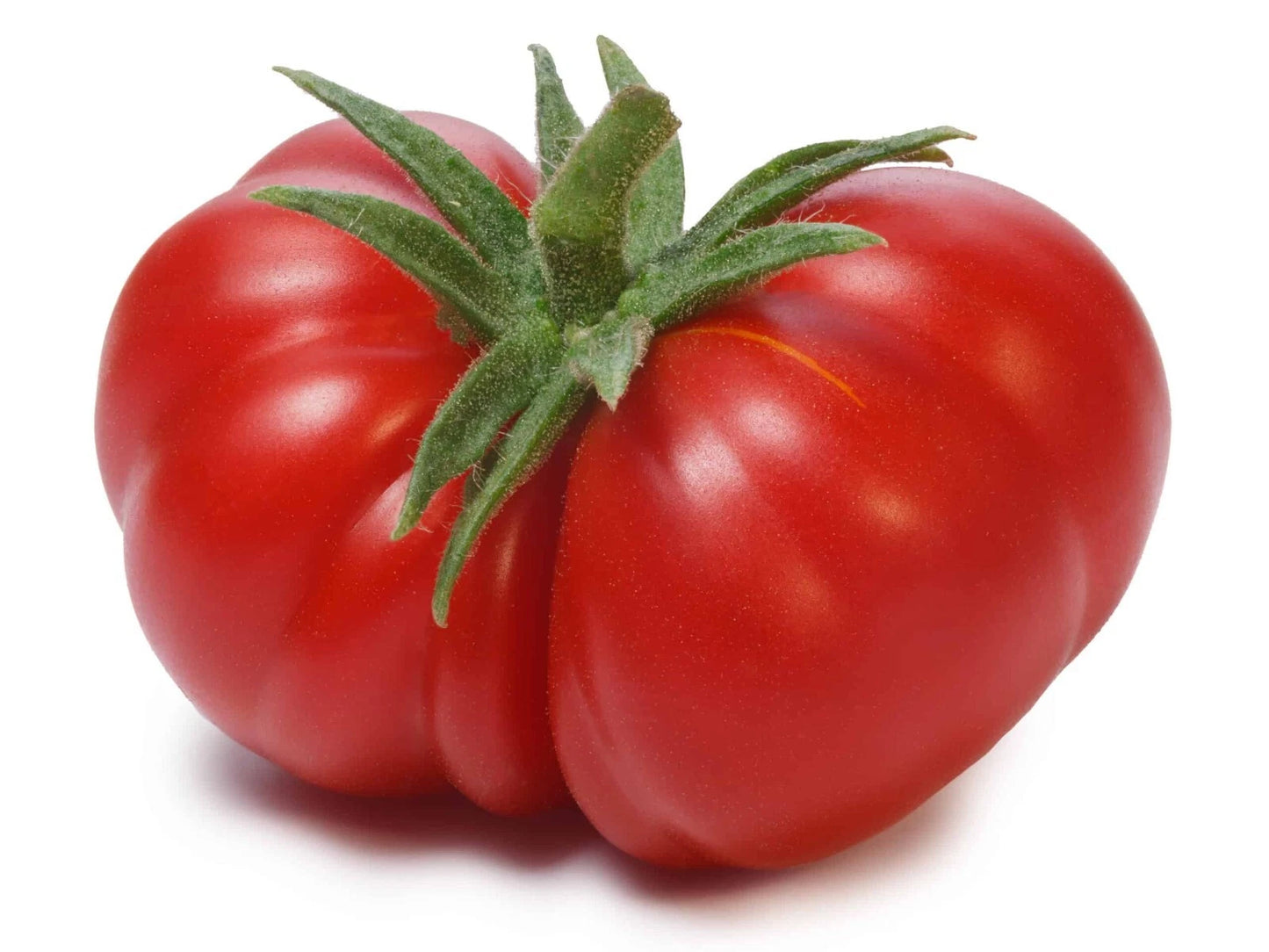 Beefsteak Tomato Seeds - 120+ Pack - Heirloom, Non-GMO, Organic - Solanum lycopersicum