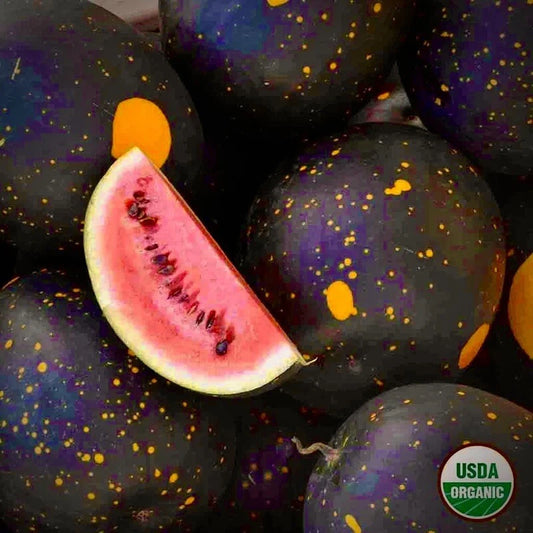 20 Moon and Stars Red Cherokee Watermelon Seeds - Non-GMO, Heirloom Variety, Free Shipping