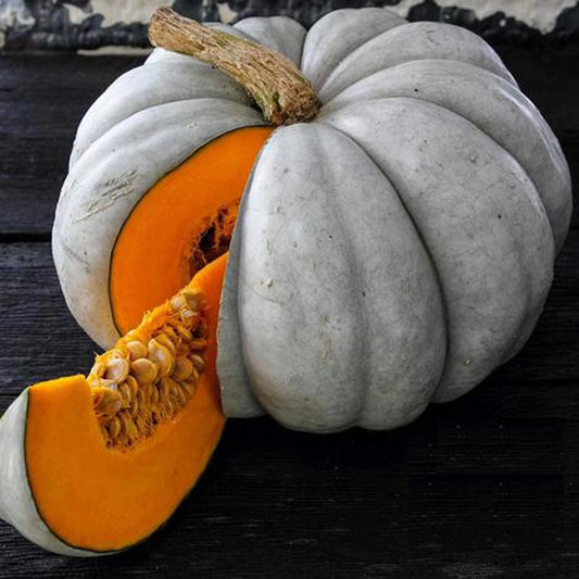 Jarrahdale Blue Pumpkin Seeds - 10 Heirloom Seeds for Baking & Decorative Use - Cucurbita maxima