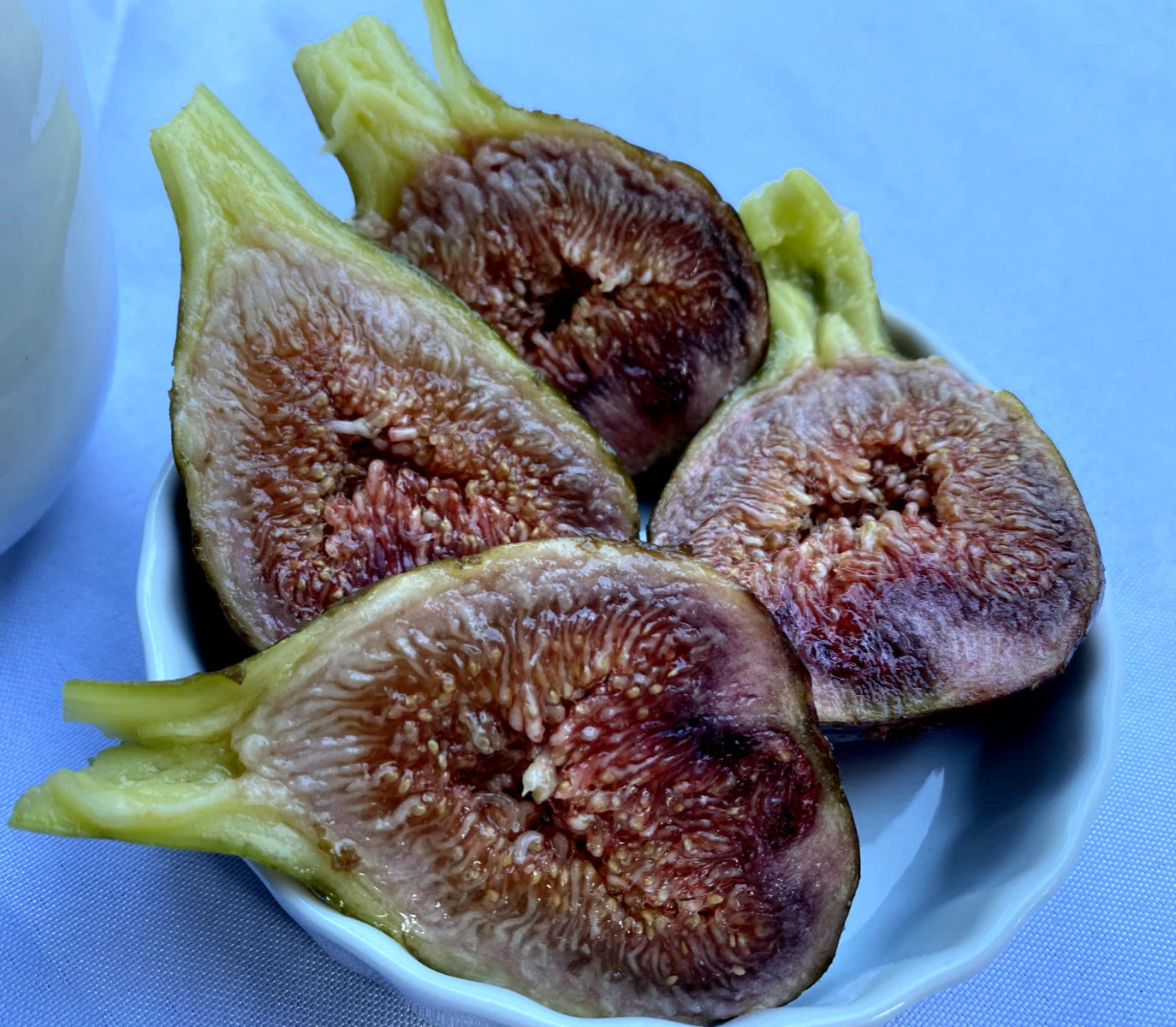 Cold Hardy Violetta Fig Cuttings - 4 Thick Sweet Fig Propagation Cuttings for Rooting - Ficus carica