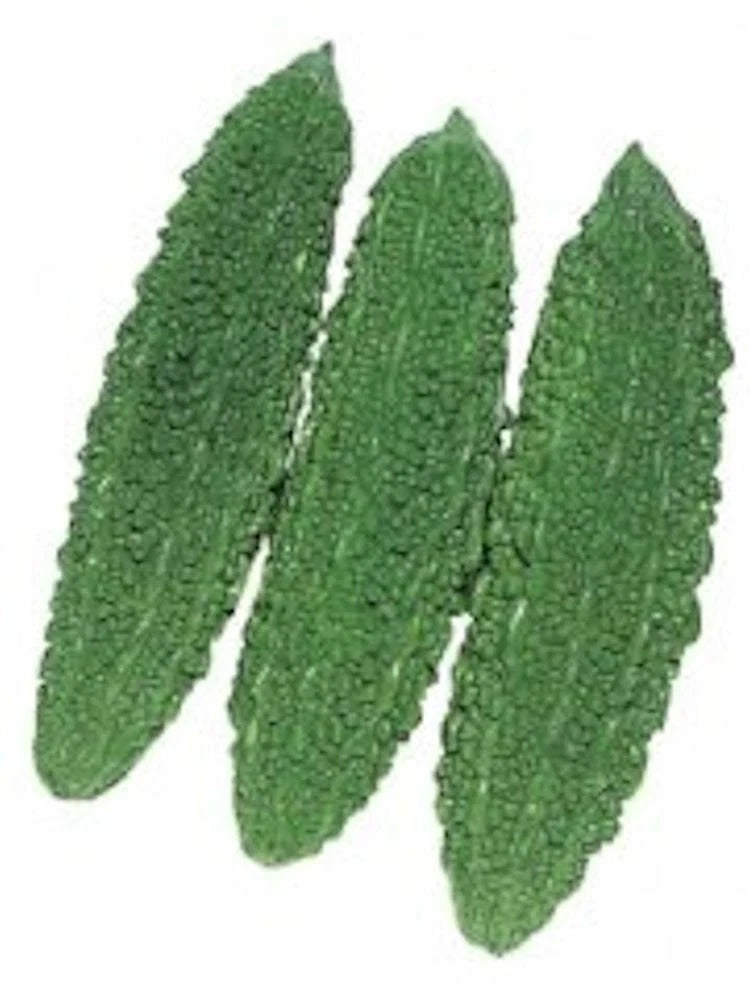 Bitter Gourd Seeds Futo - Spindle Heirloom Non-GMO, Gardening Seeds for Home Growers, Cucurbita max.