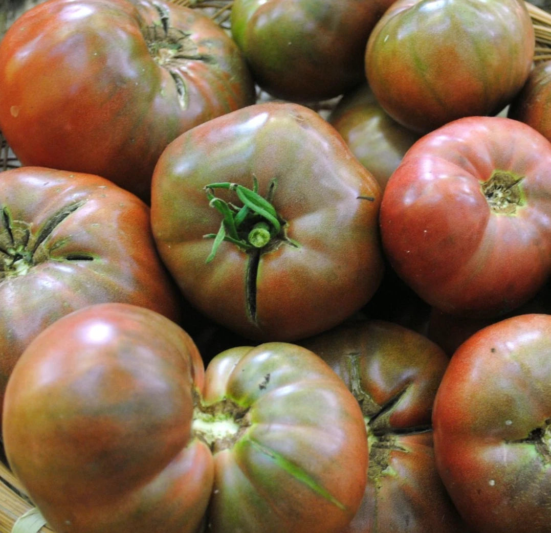 Cherokee Purple Tomato Seeds - 100+ Non-GMO Indeterminate Vegetable - Solanum Lycopersicum