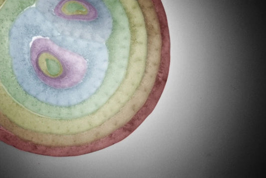 Bulk 300 Seeds Romanian Rainbow Onion, Sweetest Variety, Healthful Allium fistulosum