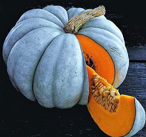 Jarrahdale Blue Pumpkin Seeds | 10 Pack | Winter Squash | Sweet Queensland Cinderella (Cucurbita maxima)