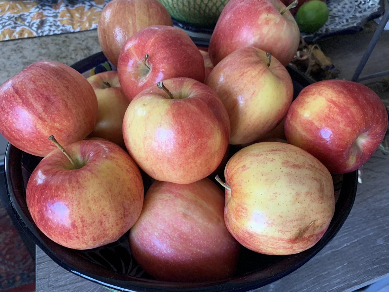 Gala Apple Seeds - Organic Heirloom Fruit Tree - Non-GMO Homegrown Edi ...