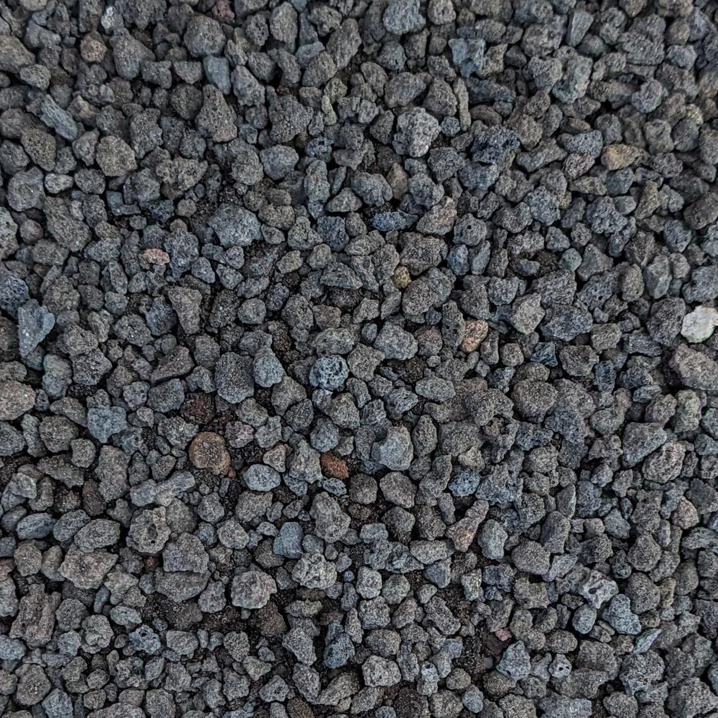 Black Lava Rocks for Plants 1/4" Natural Horticultural Volcanic Rock (Basalt) for Drainage and Decoration