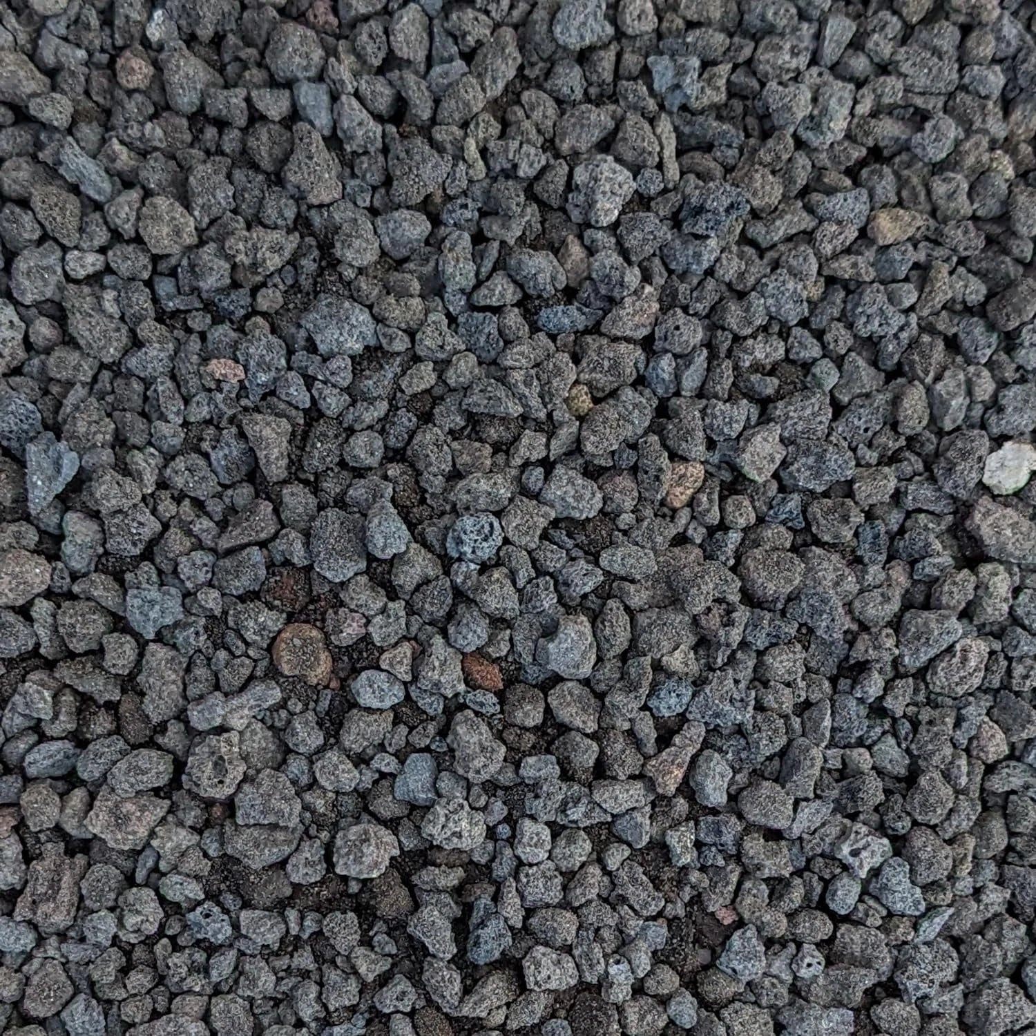 Black Lava Rocks for Plants 1/4" Natural Horticultural Volcanic Rock (Basalt) for Drainage and Decoration