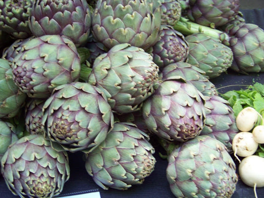 40 Artichoke Seeds - Green Globe Heirloom - GroCo USA - Buy 15 Ships Free - Non-GMO Gardening Seeds