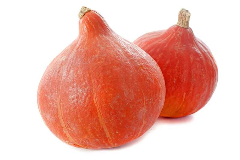 Red Kuri Squash Seeds - 25+ Heirloom Seeds for Garden Planting - Cucurbita pepo - USA, Organic, Non-GMO