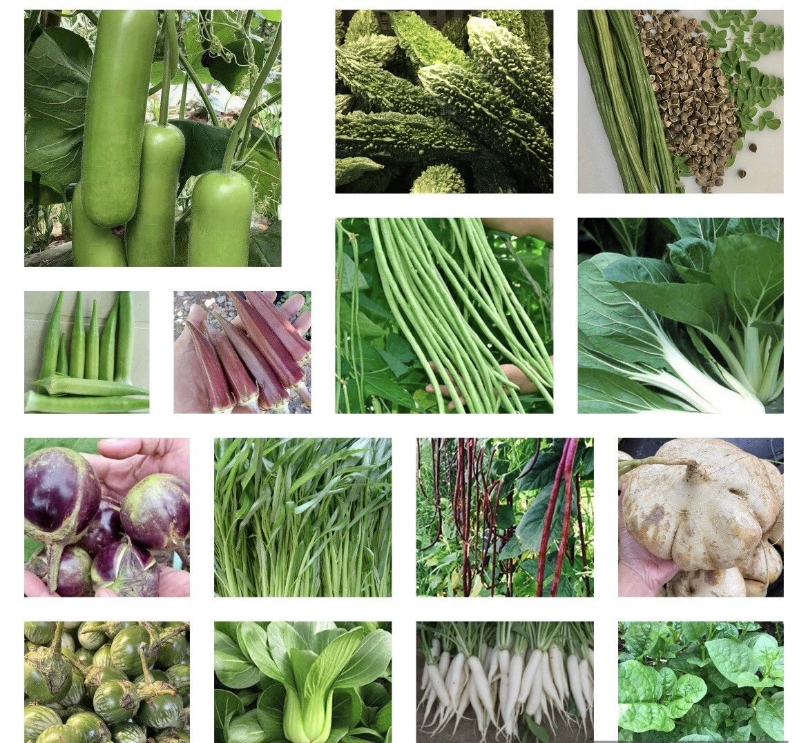 Asian Vegetable Seeds - 20+ Heirloom Non-GMO Varieties - Organic Gardening Seeds for Home Planting