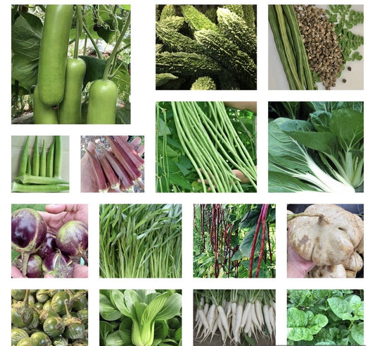 Asian Vegetable Seeds - 20+ Heirloom Non-GMO Varieties - Organic Gardening Seeds for Home Planting