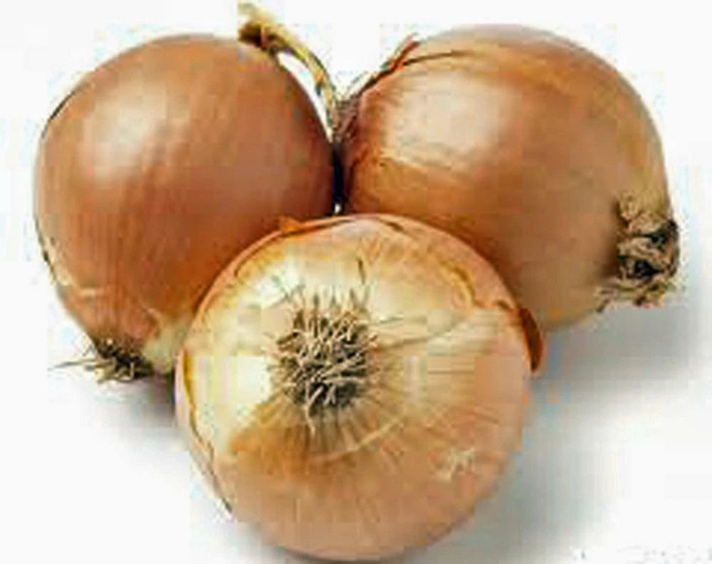 Spanish Yellow Onion Seeds - Heirloom Variety, 25+ Seeds, Sweet Flavor, Perfect for Cooking