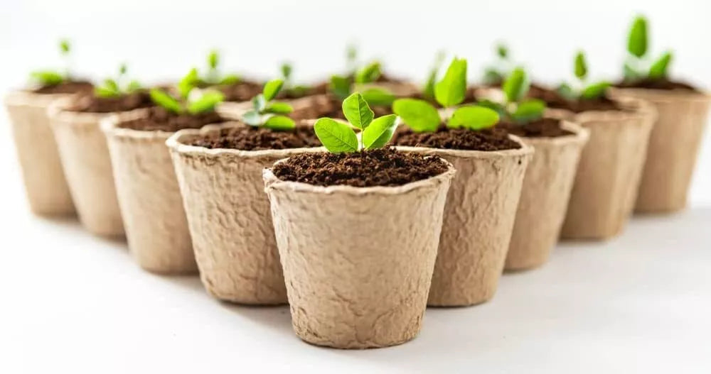3 Inch Biodegradable Starter Pots - 50 Pack for Seedlings and Plants - Eco-Friendly Planting Containers