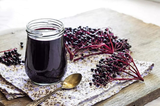 Fresh Elderberry Cuttings, 5 Pack, Black Berries, Sambucus nigra