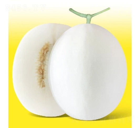 20PCS White Jade Muskmelon Seeds - Sugar Jar Melon - Delicious Fruit Seeds (Cucumis melo)