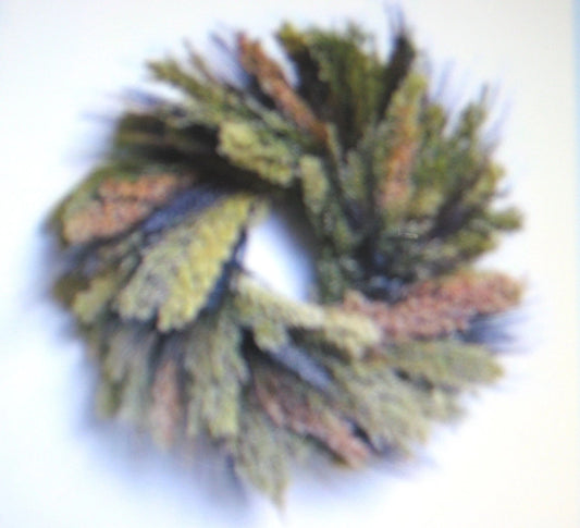 Broom Corn Multi-Colored Craft Stalks - Fun Arts & Crafts & Bird Food - Zea mays subsp. everta