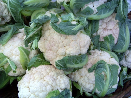 Cauliflower Seeds - 112 Seeds - Early Snowball Variety - Brassica oleracea - GroCo USA - Buy Any 15 Ships Free