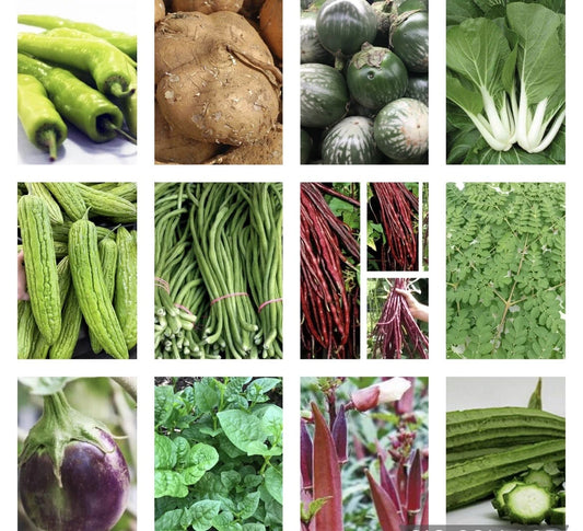 Asian Vegetable Seeds - 20 Varieties, Non-GMO, Organic Garden Seeds for Planting, Heirloom Vegetables