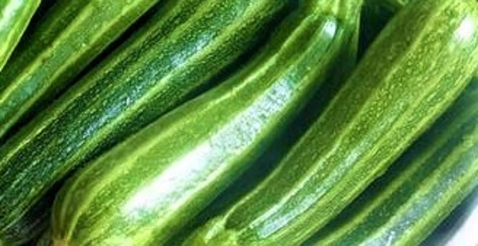 Cocozelle Zucchini Seeds 30 Seeds Non-GMO Heirloom Cucurbita pepo