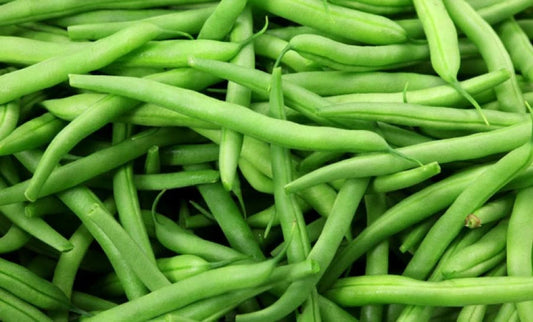 Blue Lake Pole Bean Seeds - Fresh Green Bean Seeds - Non-GMO - Phaseolus vulgaris