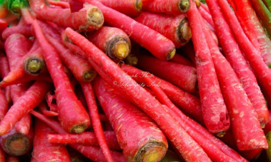 Atomic Red Carrot Seeds - Organic Heirloom Vegetable Garden - Easy to Grow for Containers - Daucus carota