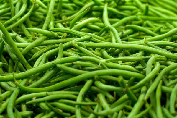 Strike Green Bean Seeds - Fresh Green Bean Seeds - Organic Gardening - Phaseolus vulgaris